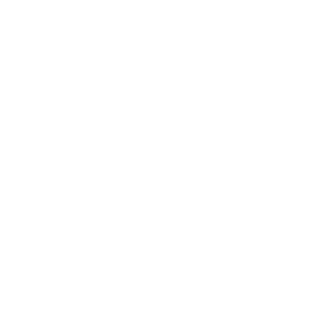 finance & accounting management reports