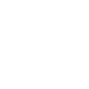 expert accountants / self-assessment filing