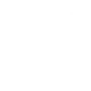 business valuation & budgeting