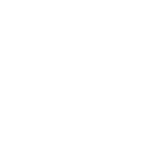 financial filings by company secretary