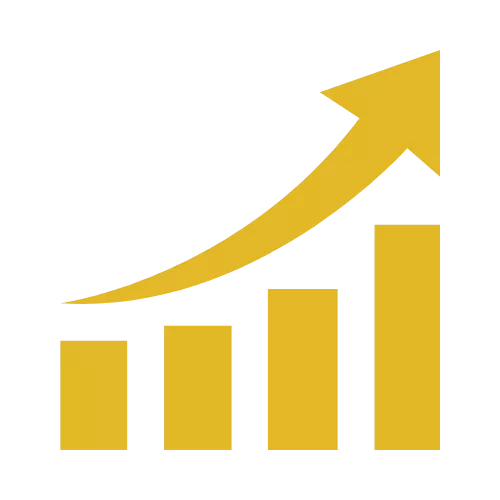 boost business growth - business & risk advisory service