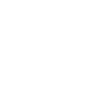 Ecommerce Expertise