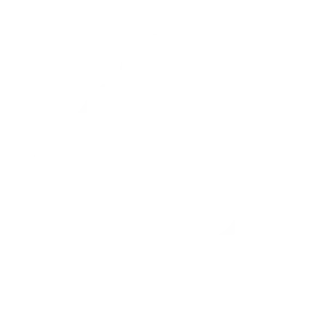 Multi Currency Support