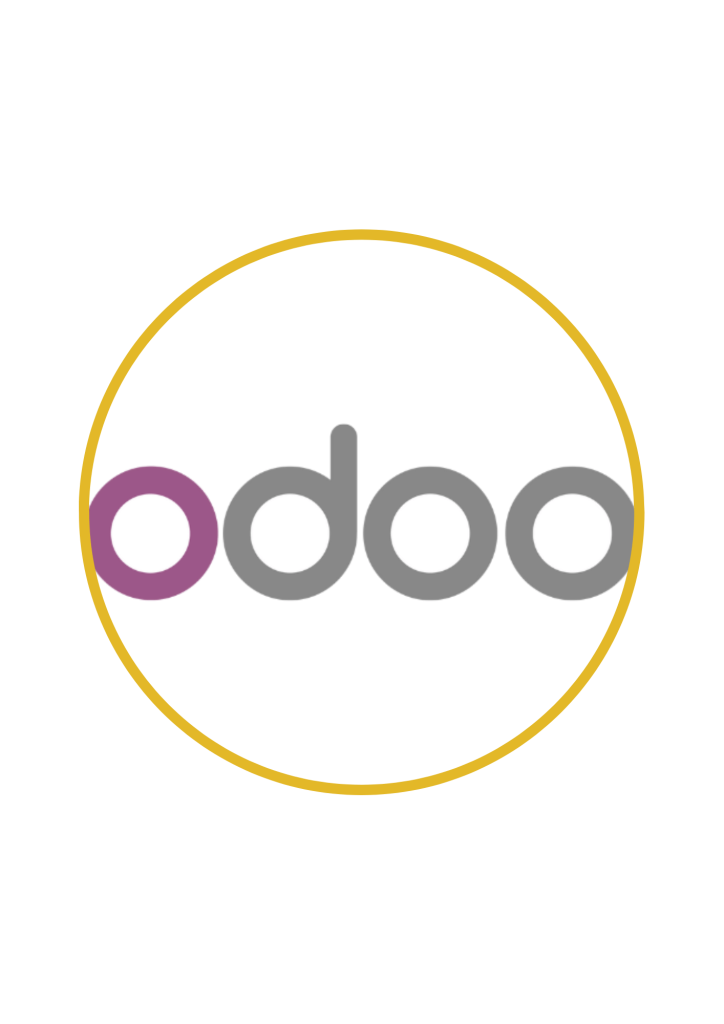 Odoo Accounting Software for SMEs